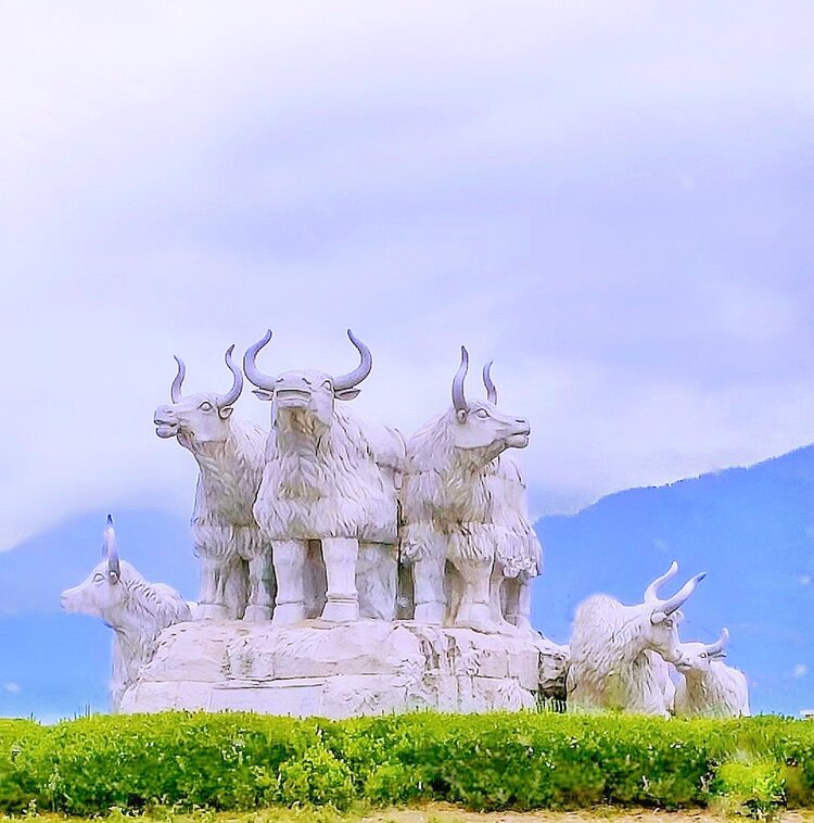 林芝市巴宜区迎宾大道中心有一个大转盘,转盘中间雕刻着牦牛石像,它也