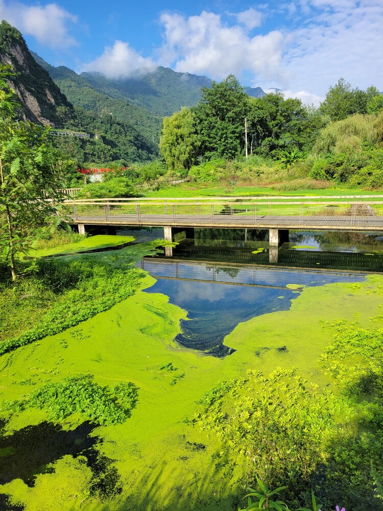 鱼凫湿地公园介绍图片