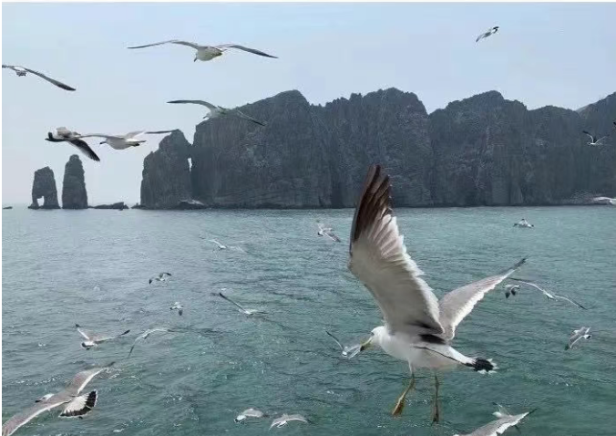 小浅🎤V娱热点