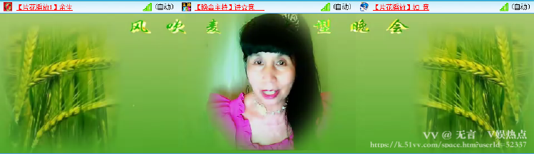 无言🎤V娱热点