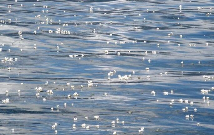 曾经🎤V娱热点