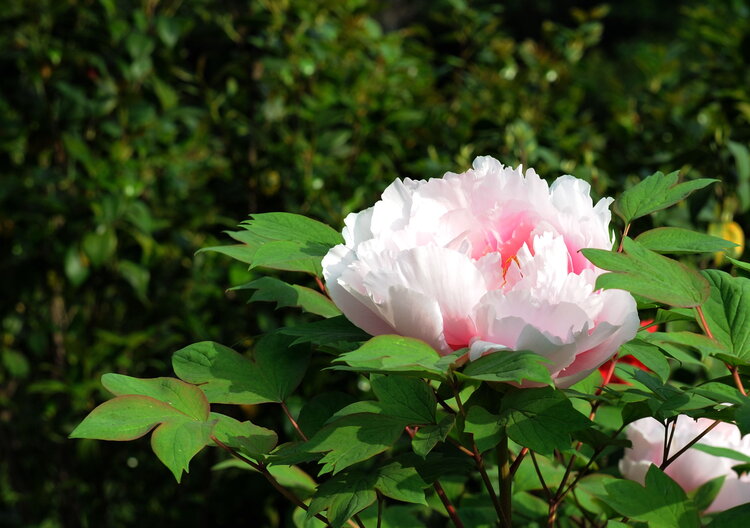 曾经🎤V娱热点