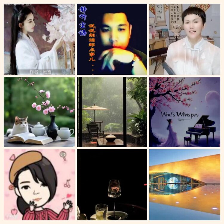 航航🎤V娱热点