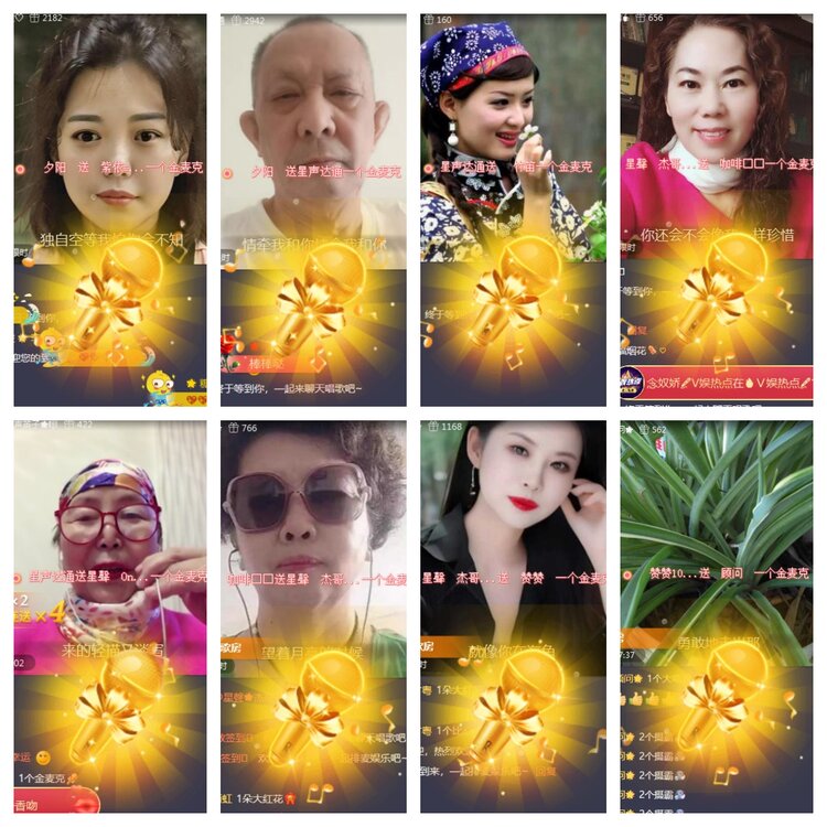 海燕🎤V娱热点