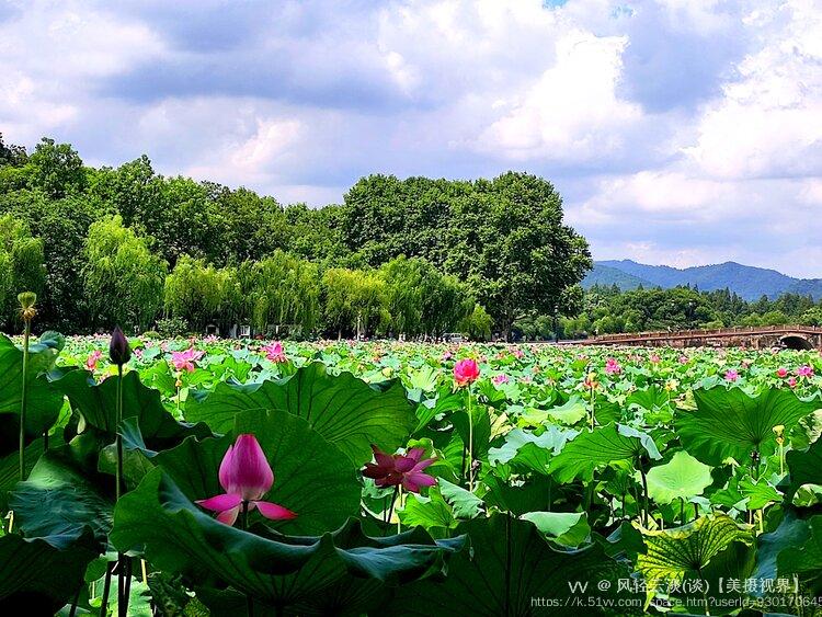 风轻云淡(谈)【美摄视界】