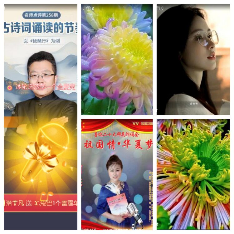 静一静🎤V娱热点