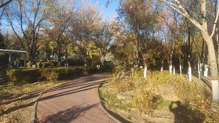 雪儿🎤V娱热点