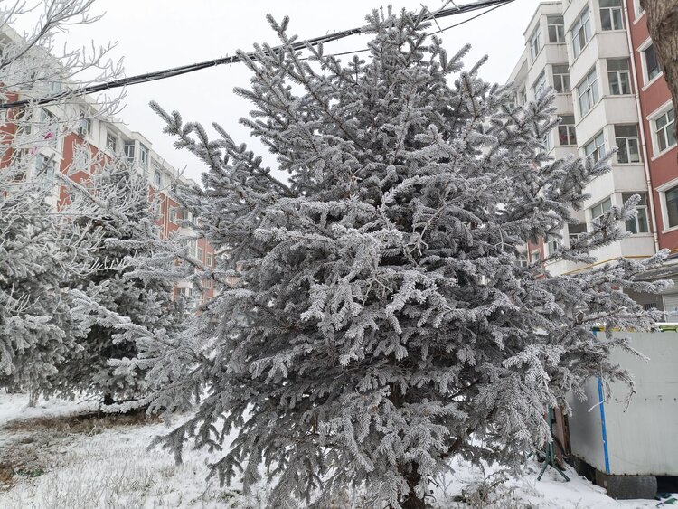 雪儿🎤V娱热点