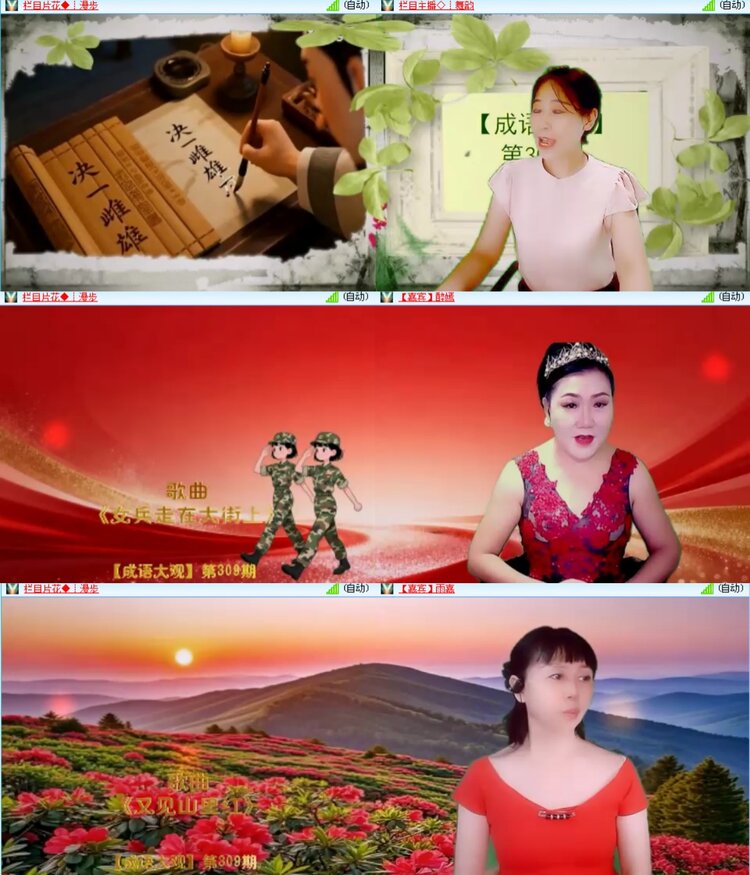无言🎤V娱热点