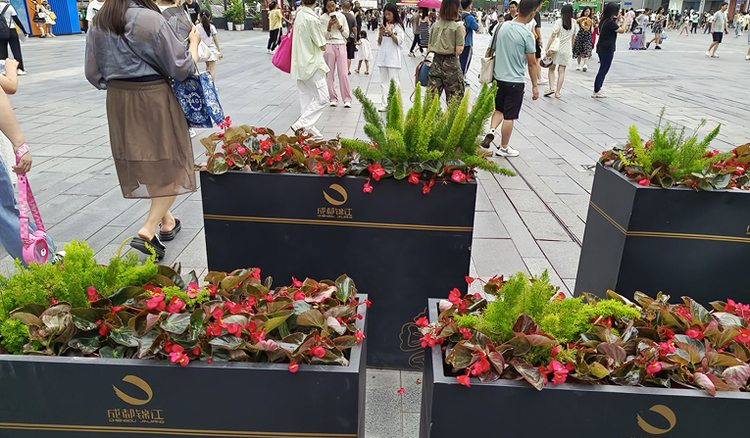 雪儿🎤V娱热点