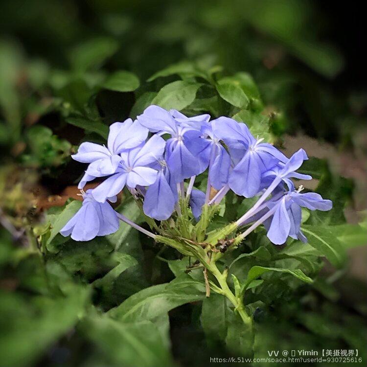 🌈 Yimin【美摄视界】