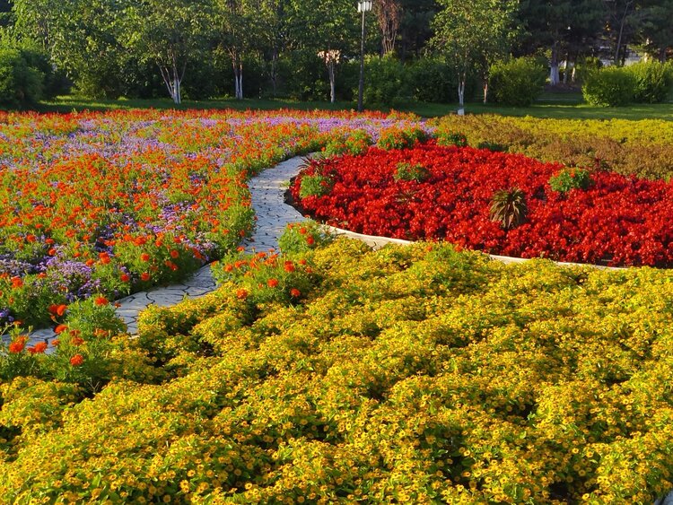 雪儿🎤V娱热点