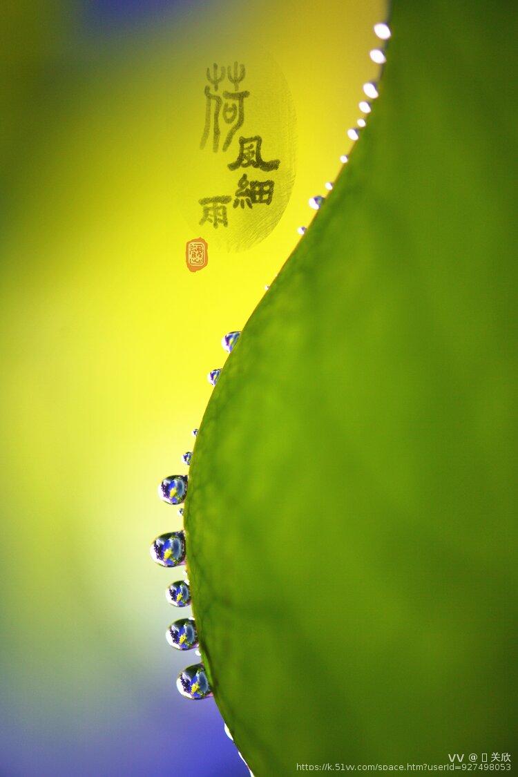 🍀 关欣