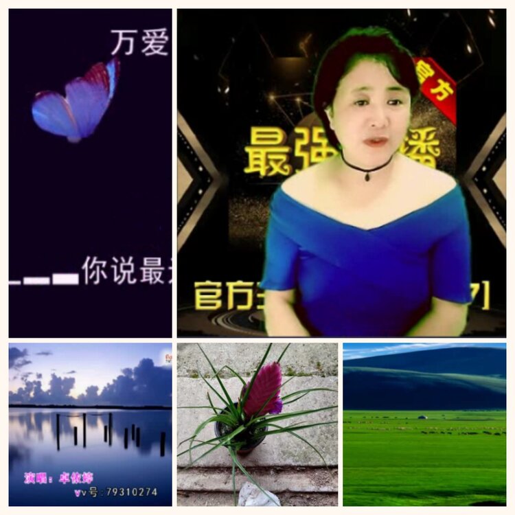 落雪🎤V娱热点