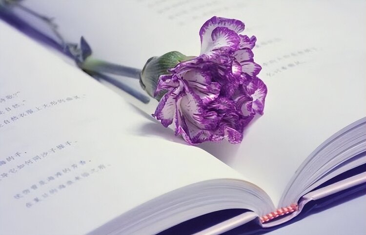 小浅🎤V娱热点