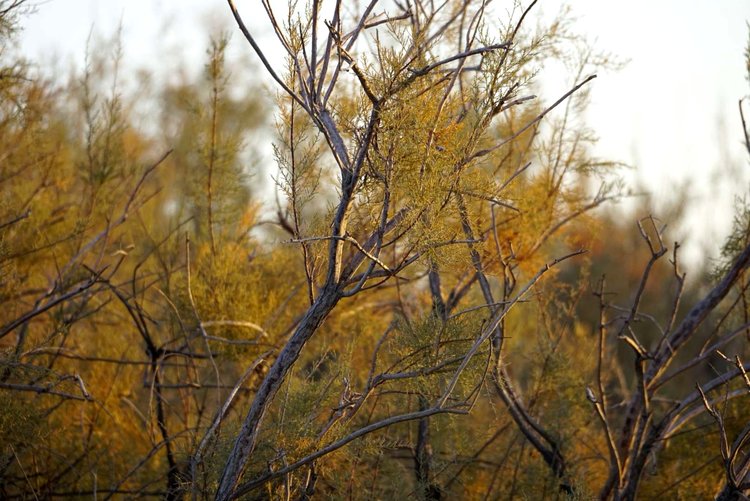 一空万有【美摄视界】