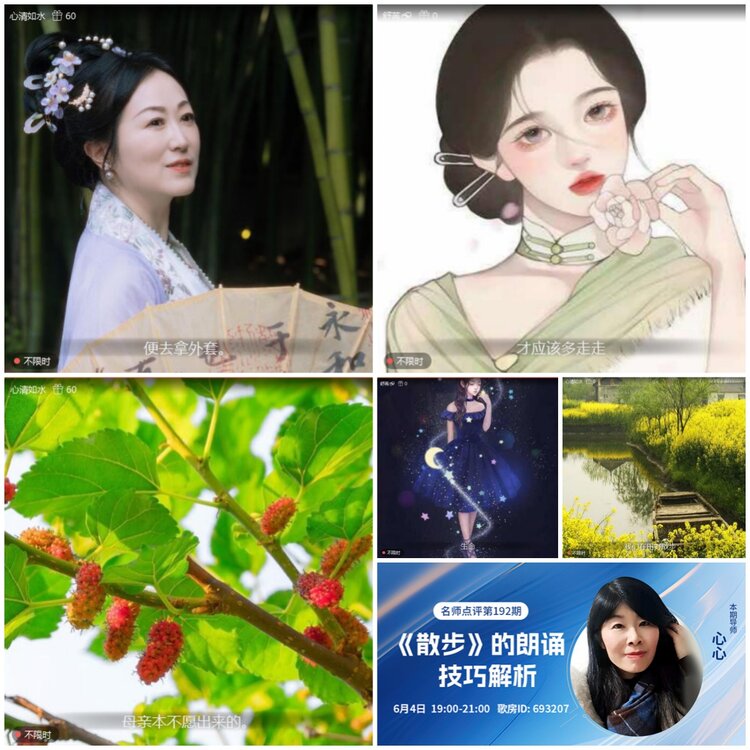 无言🎤V娱热点