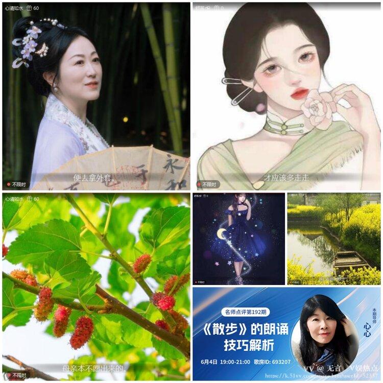 无言🎤V娱热点