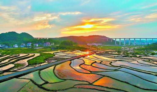 阳光