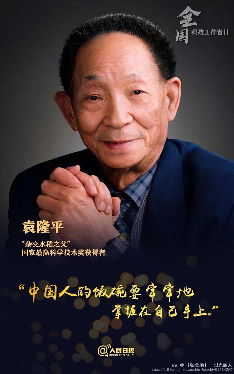 【弦歌地】—阳光丽人