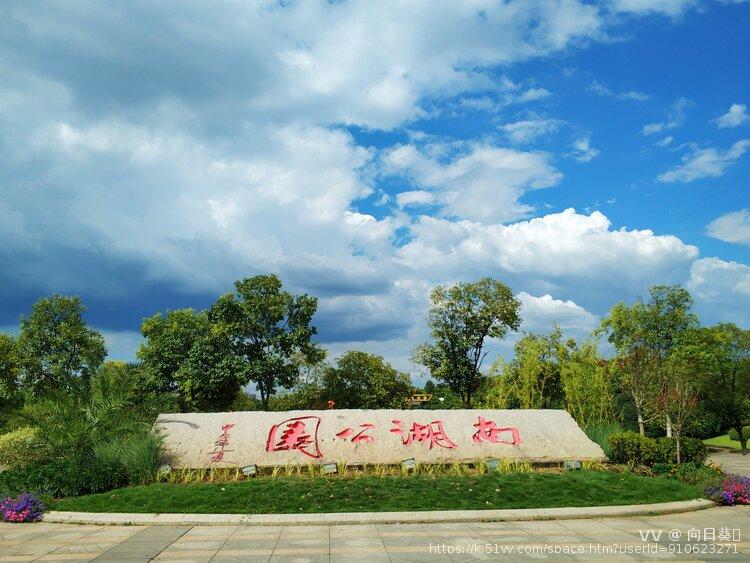 向日葵