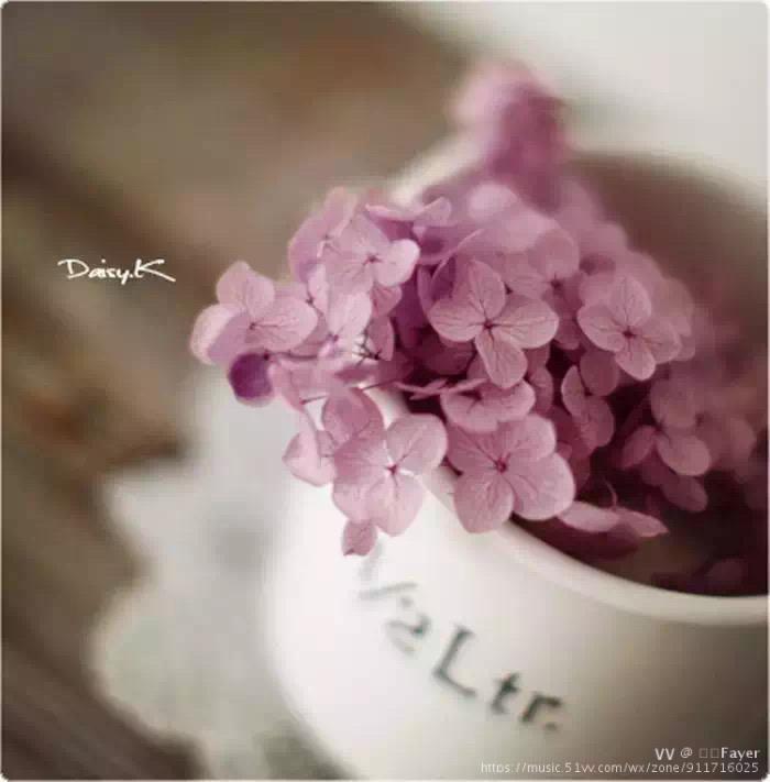 飞儿何以为美作者蒋勋