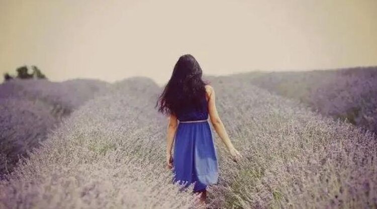 小浅🎤V娱热点