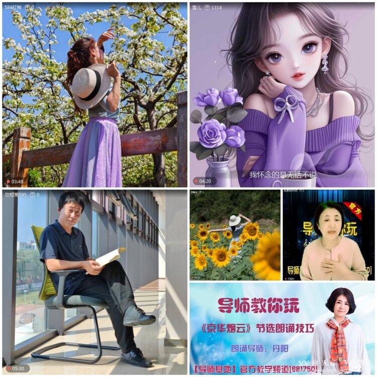 无言🎤V娱热点