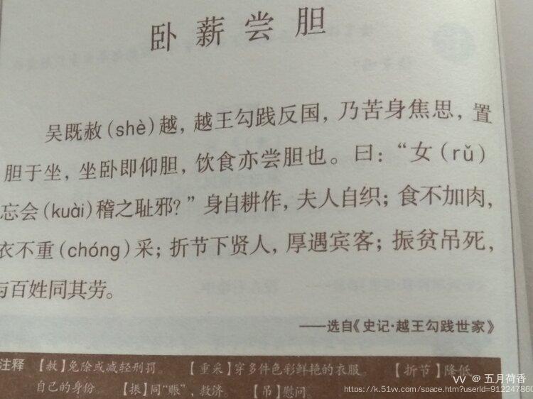 五月荷香