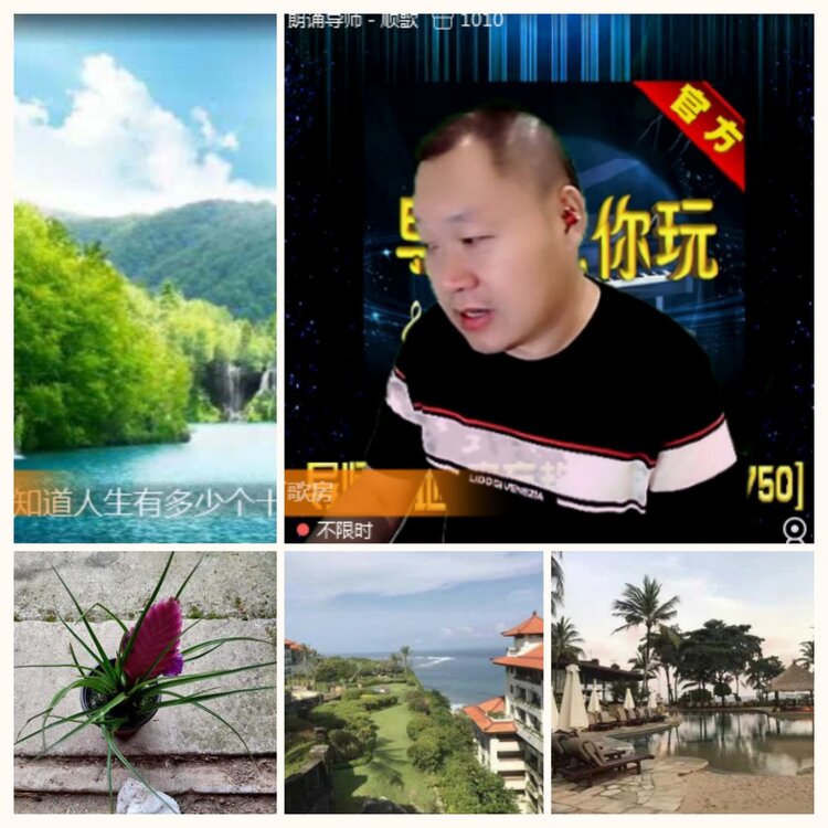 落雪🎤V娱热点