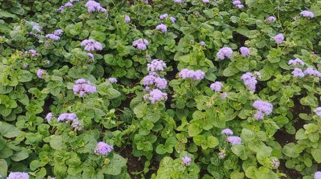 雪儿🎤V娱热点