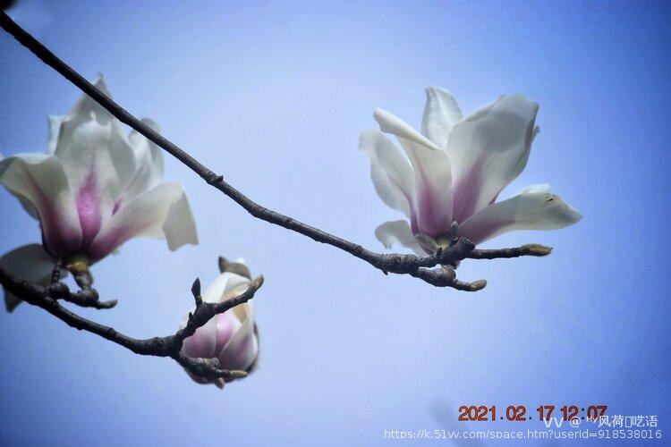 ᴴʸ风荷༒呓语 
