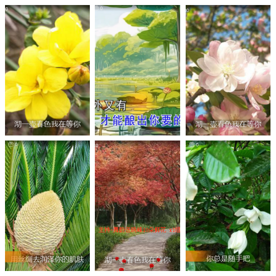 芯薇🎤V娱热点