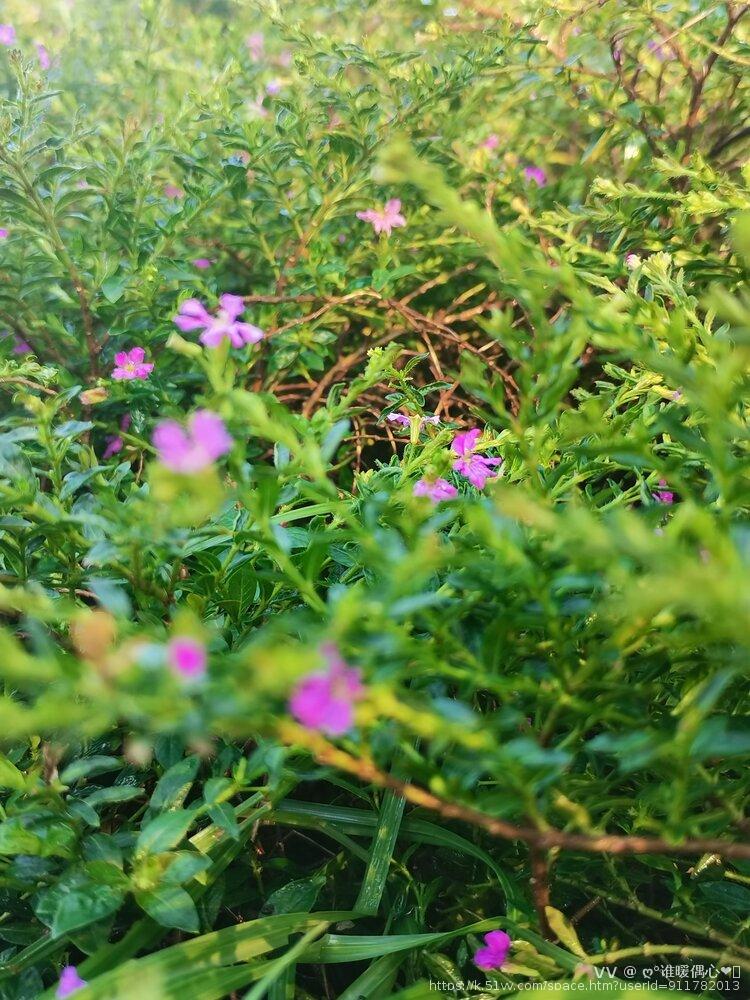 ღ°谁暖偶心❤ᝰ