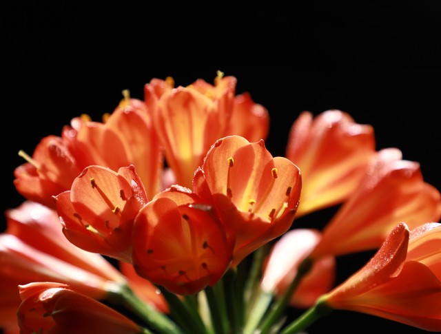 小浅🎤V娱热点