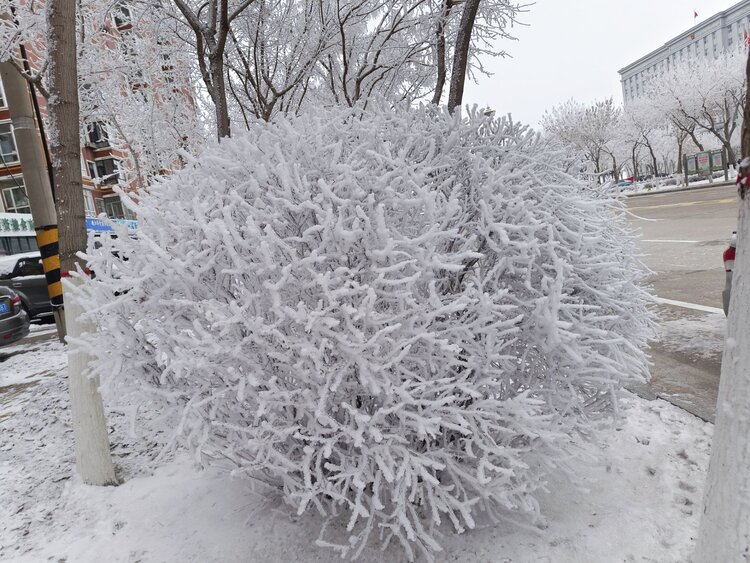 雪儿🎤V娱热点