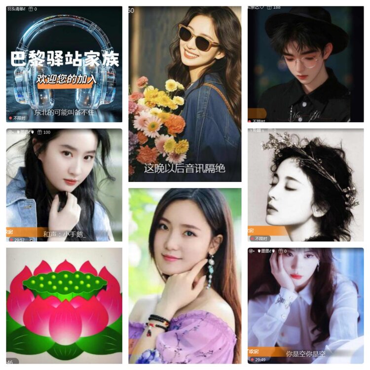 海燕🎤V娱热点