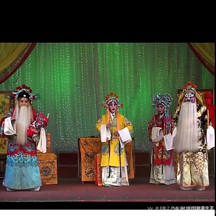 秦声缘💫雾中花