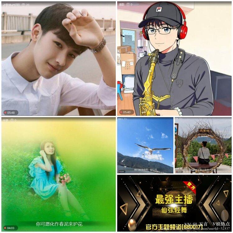 无言🎤V娱热点