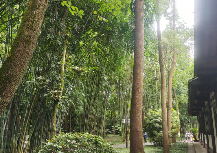 雪儿🎤V娱热点