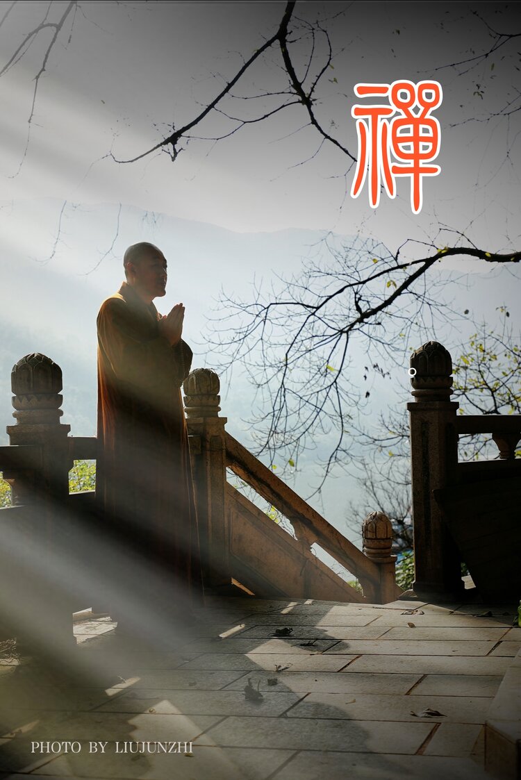 怡然【情暖天涯】