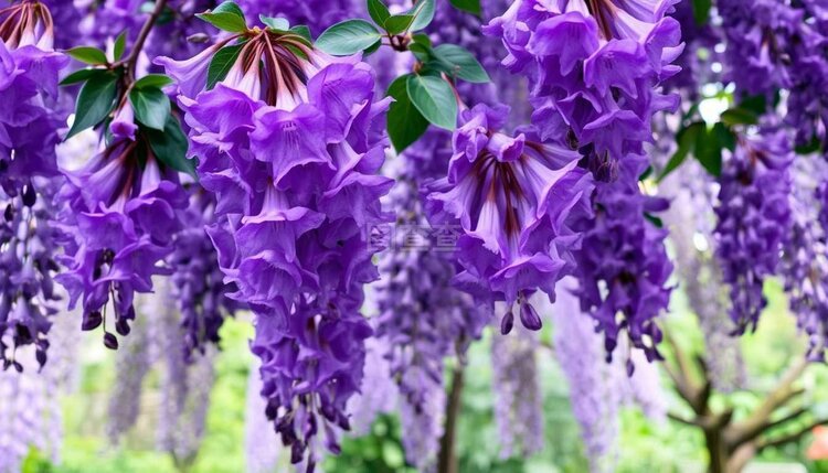 小浅🎤V娱热点