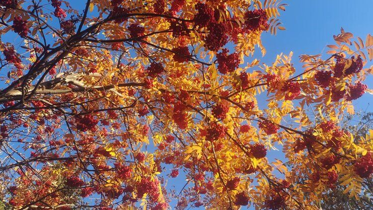 雪儿🎤V娱热点