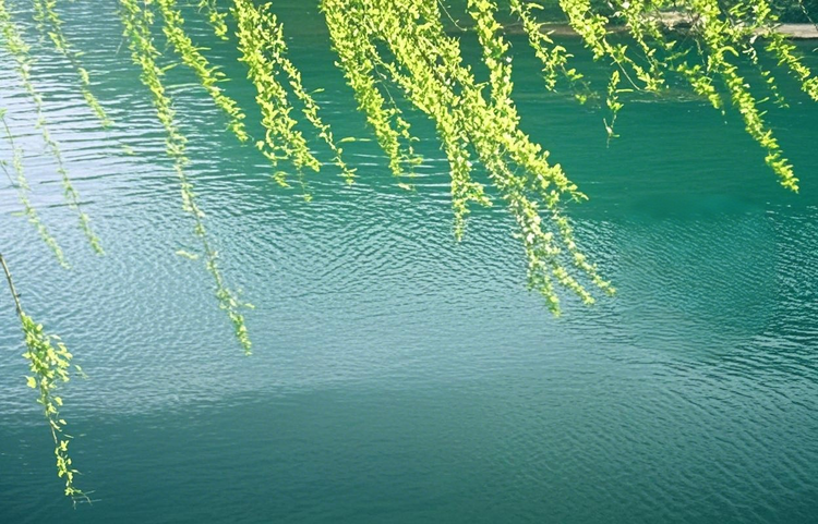 曾经🎤V娱热点