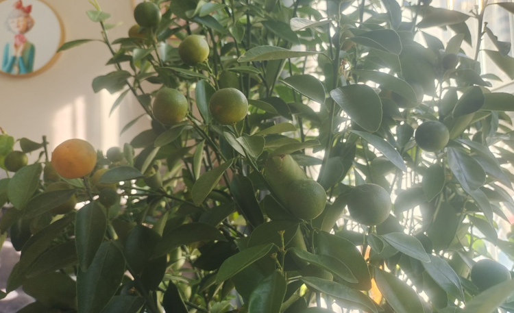 雪儿🎤V娱热点