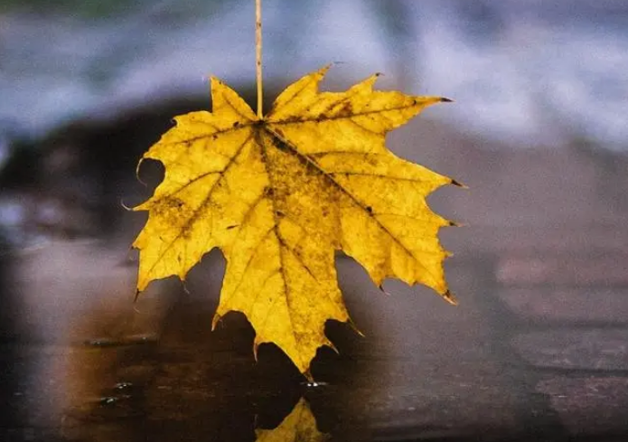 雪儿🎤V娱热点