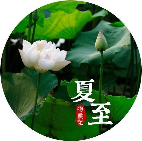 云水禅心（陈才）雅韵文轩