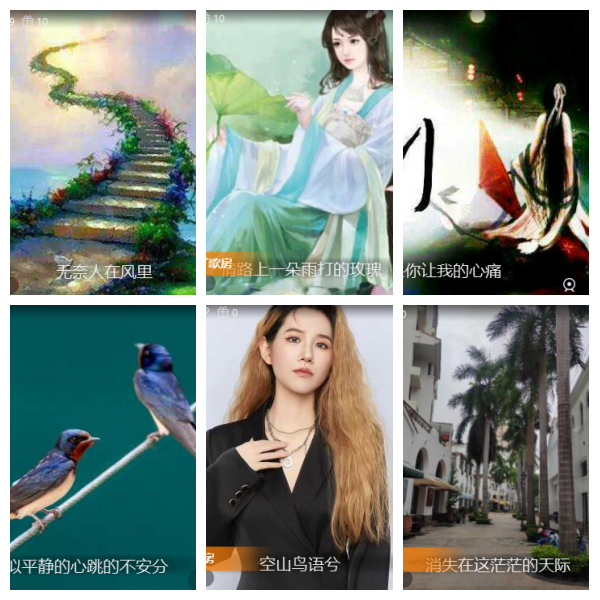 芯薇🎤V娱热点