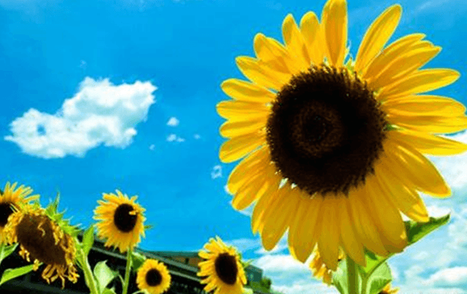 雪儿🎤V娱热点