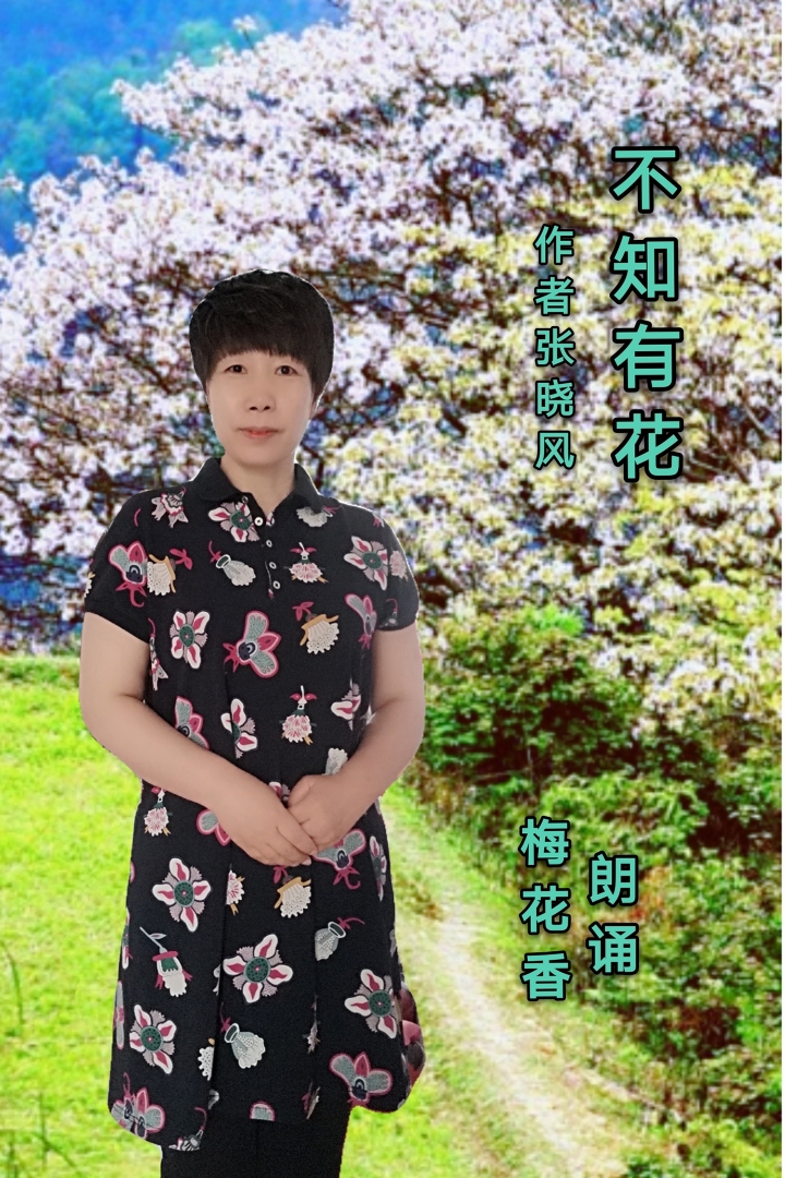 不知有花作者张晓风